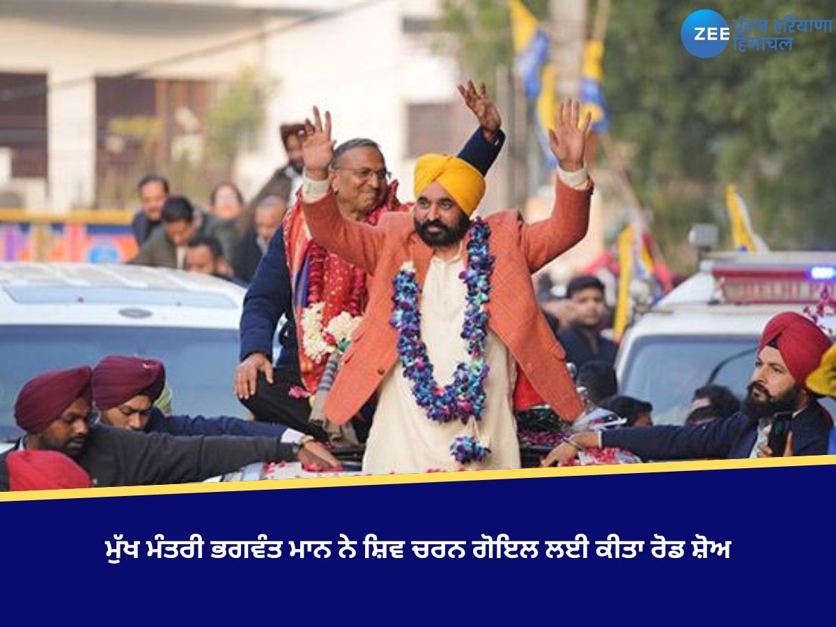 Delhi Vidhan Sabha Election: ਮੁੱਖ ਮੰਤਰੀ ਭਗਵੰਤ ਮਾਨ ਨੇ ਮੋਤੀ ਨਗਰ 'ਚ 'ਆਪ' ਉਮੀਦਵਾਰ ਸ਼ਿਵ ਚਰਨ ਗੋਇਲ ਲਈ ਕੀਤਾ ਰੋਡ ਸ਼ੋਅ