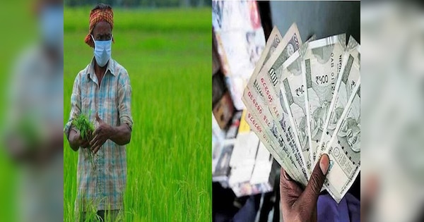 PM Kisan Yojana: किसानों को लूटने का चल रहा प्लान! धोखाधड़ी से बचने के लिए तुरंत अपनाएं ये टिप्स