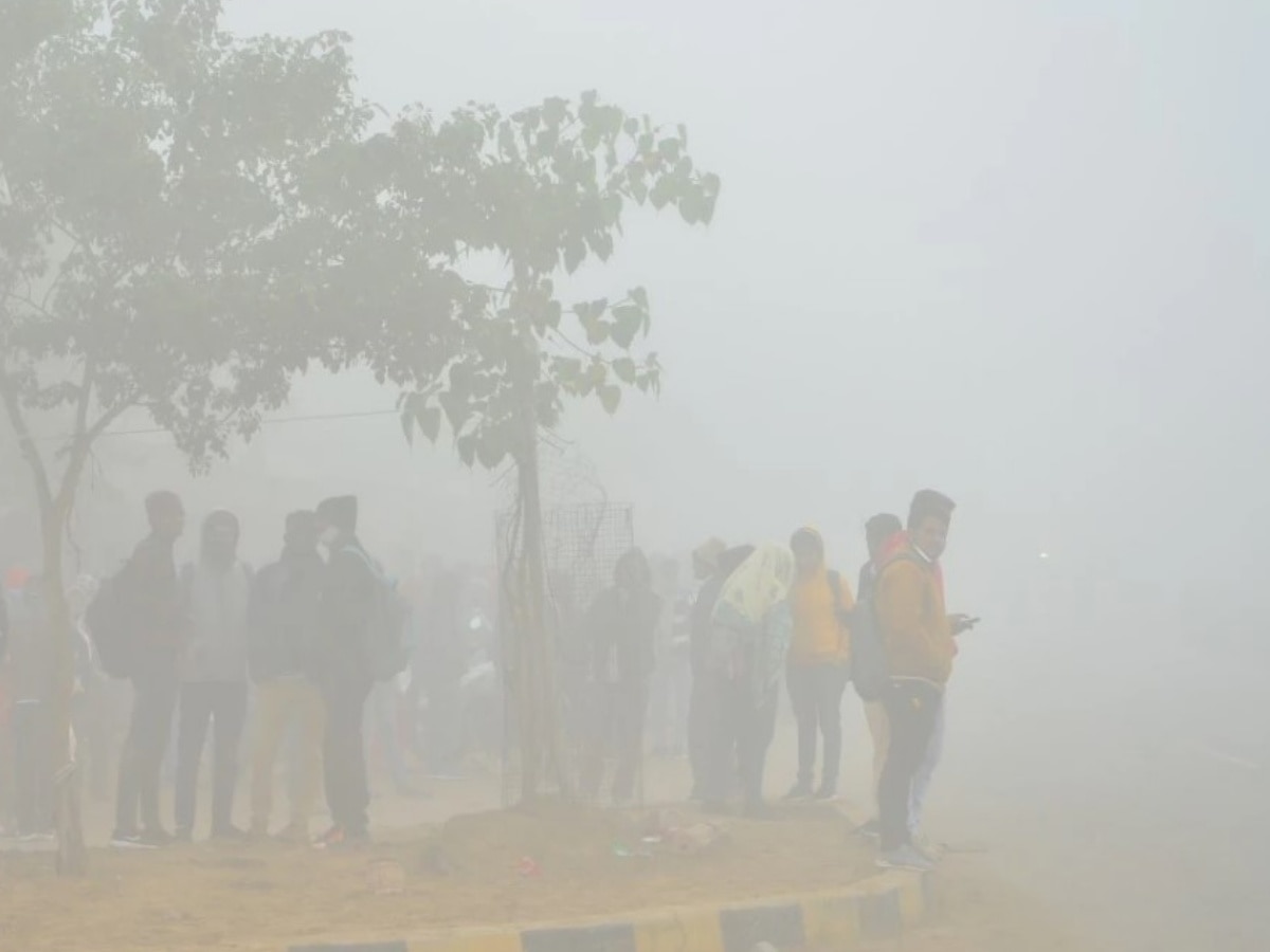 Rajasthan Weather: कोहरे में लिपटा राजस्थान, छतों पर जमी बर्फ की परत, सूर्य के दर्शन को बेताब प्रदेशवासी