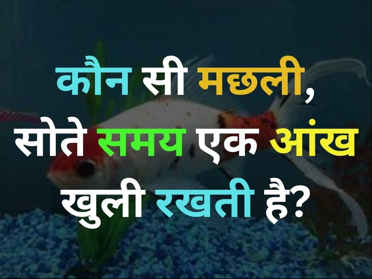 GK Quiz: ऐसी कौन सी मछली है, जो अपनी एक आंख खोल कर सोती है?