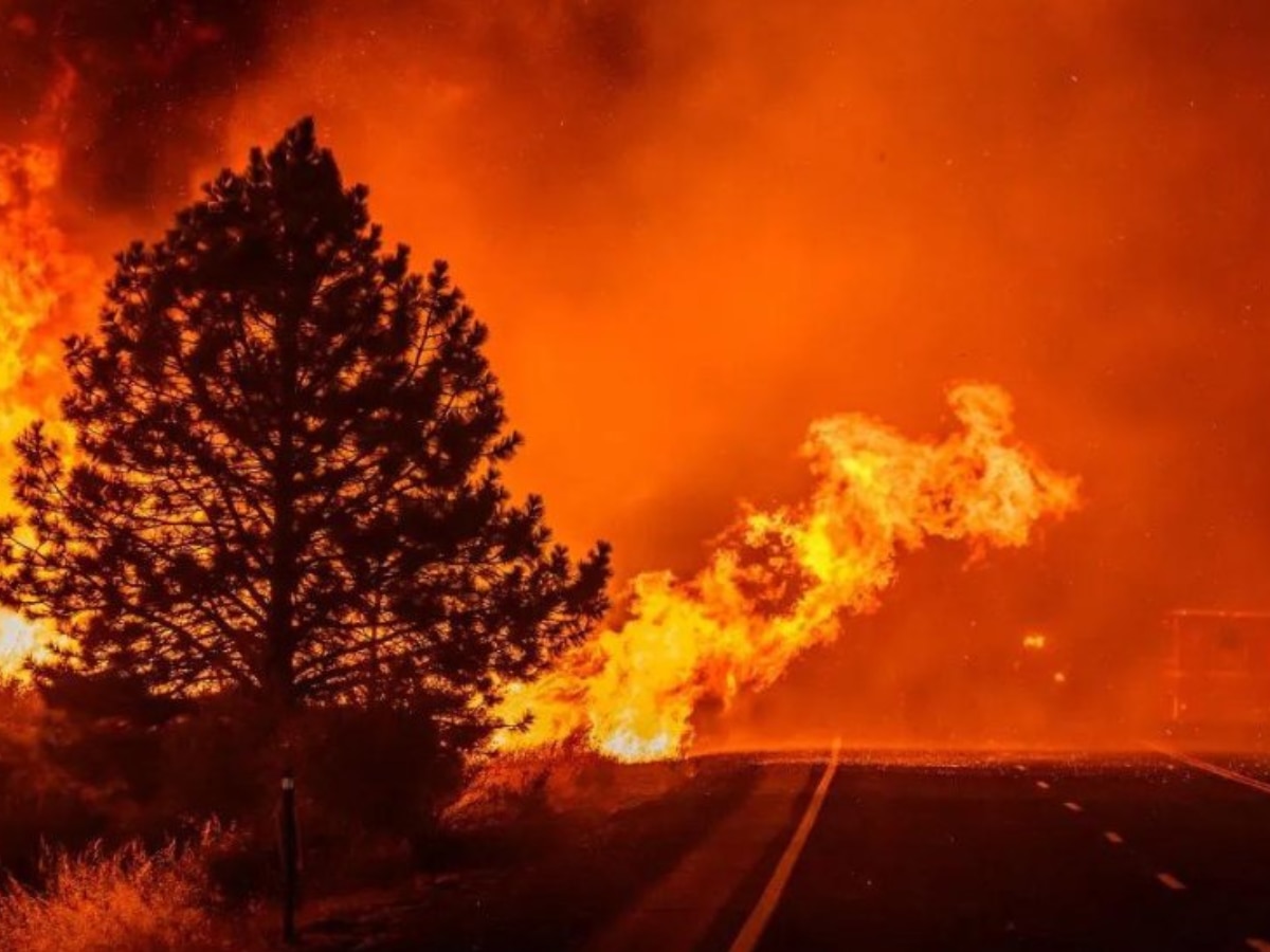 Los Angeles Wildfire: खंडहर बने घर के बीच फायर फाइटर को मिली अपनी खोई हुई वेडिंग रिंग, इमोशनल कर देगी कहानी