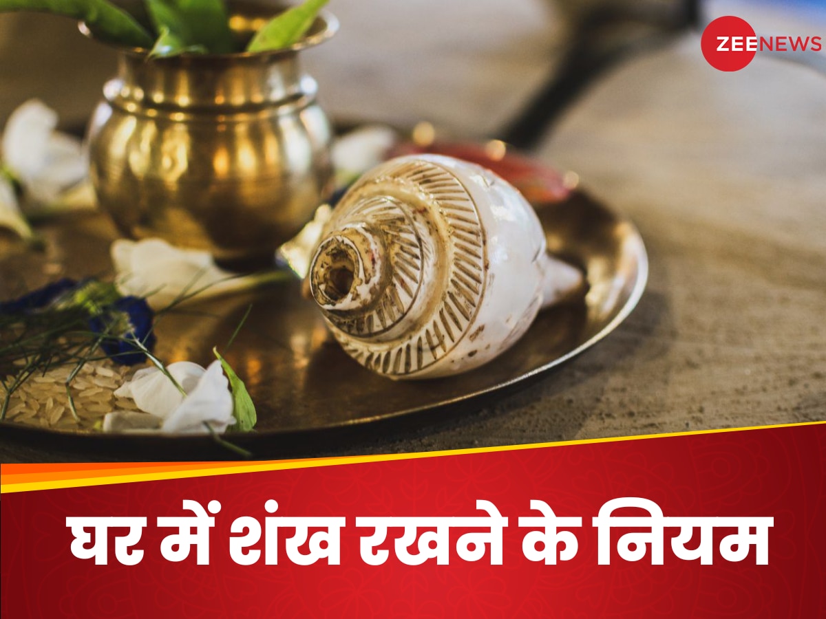  Vastu Shastra Rules Related To Conch Shell