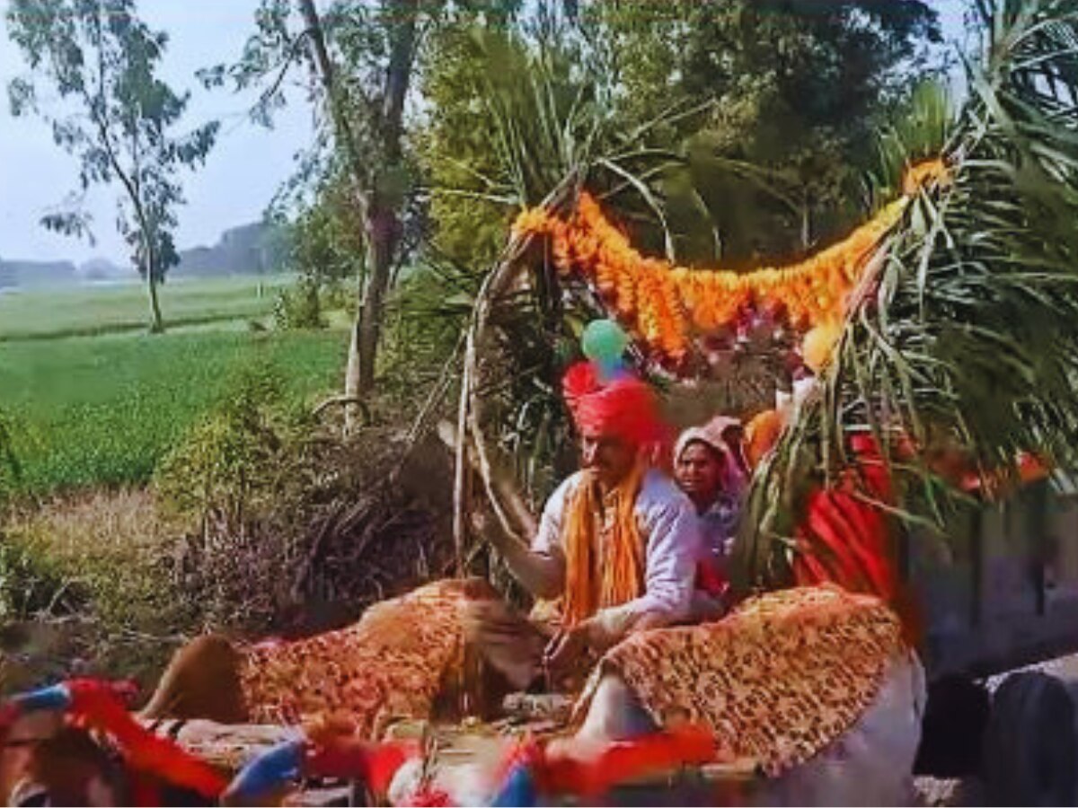 brothers from mandsaur mp set out sister myra ceremony on bullak cart ...