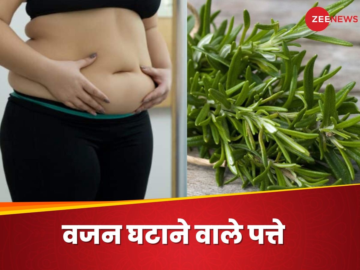 वजन घटाने के लिए जिम जाना है खर्चीला, इन 5 पत्तों को खाकर बनें Slim & Trim