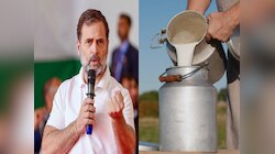 'राहुल गांधी का भाषण सुनकर दूध की बाल्टी हाथ से छूटी...', कोर्ट पहुंच गया शख्स