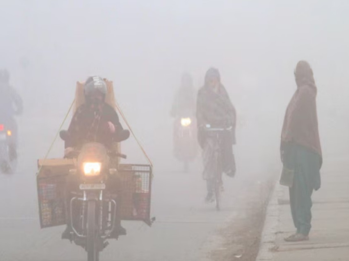 Rajasthan Weather Update: राजस्थान में बारिश फिर मचाएगी तबाही, इन जिलों के लिए मौसम विभाग ने जारी किया अलर्ट