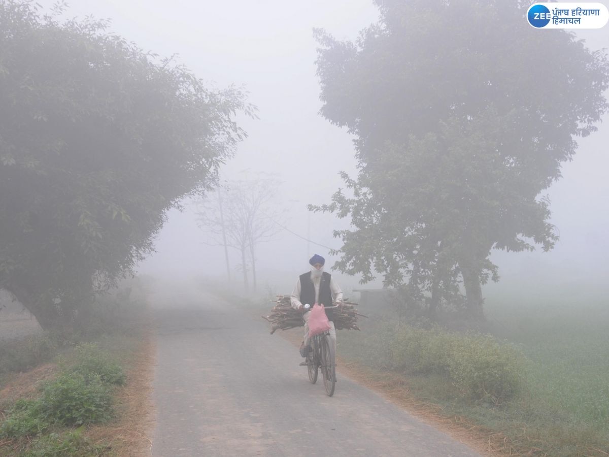 Punjab Weather Update: ਪੰਜਾਬ ਵਿੱਚ ਧੁੰਦ ਤੋਂ ਰਾਹਤ ਤੇ ਦਿਨ ਦੇ ਮੁਕਾਬਲੇ ਰਾਤ ਨੂੰ ਪੈ ਰਹੀ ਵਧ ਠੰਢ