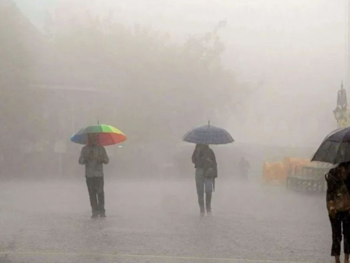 Rajasthan Weather Update: राजस्थान में पश्चिमी विक्षोभ का तांडव, इन जिलों में झमाझम होगी बारिश, IMD ने जारी किया अलर्ट Rajasthan Weather Update: राजस्थान में पश्चिमी विक्षोभ का तांडव, इन जिलों में झमाझम होगी बारिश, IMD ने जारी किया अलर्ट
