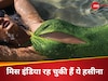 कोटक परिवार की बहू