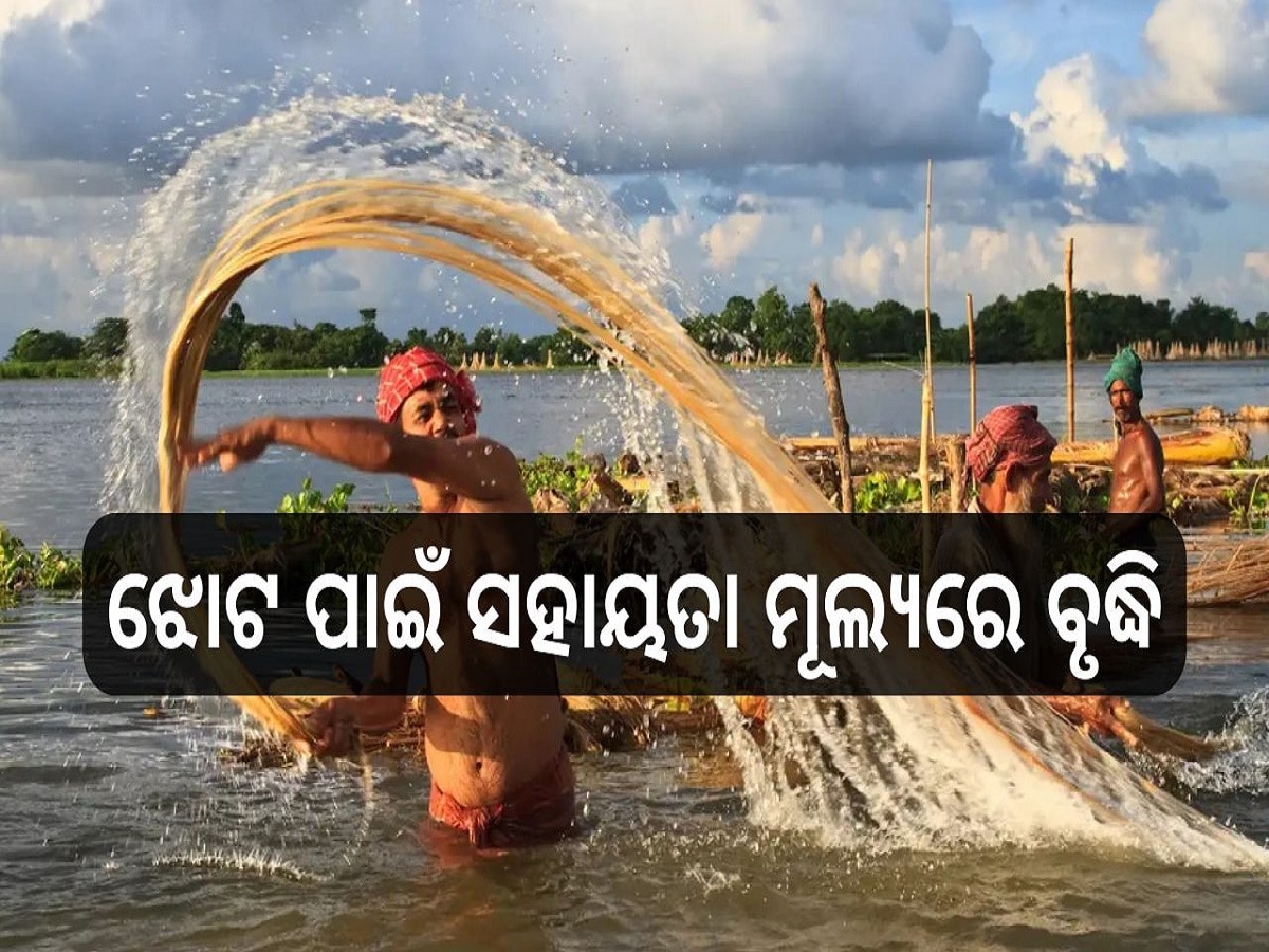 MSP for Jute farmers: ଝୋଟ ପାଇଁ ସହାୟତା ମୂଲ୍ୟରେ ବୃଦ୍ଧି, କ୍ୱିଣ୍ଟାଲ୍‍ ପିଛା ୫ ହଜାର ୬୫୦ ଟଙ୍କାରେ କିଣିବେ ସରକାର