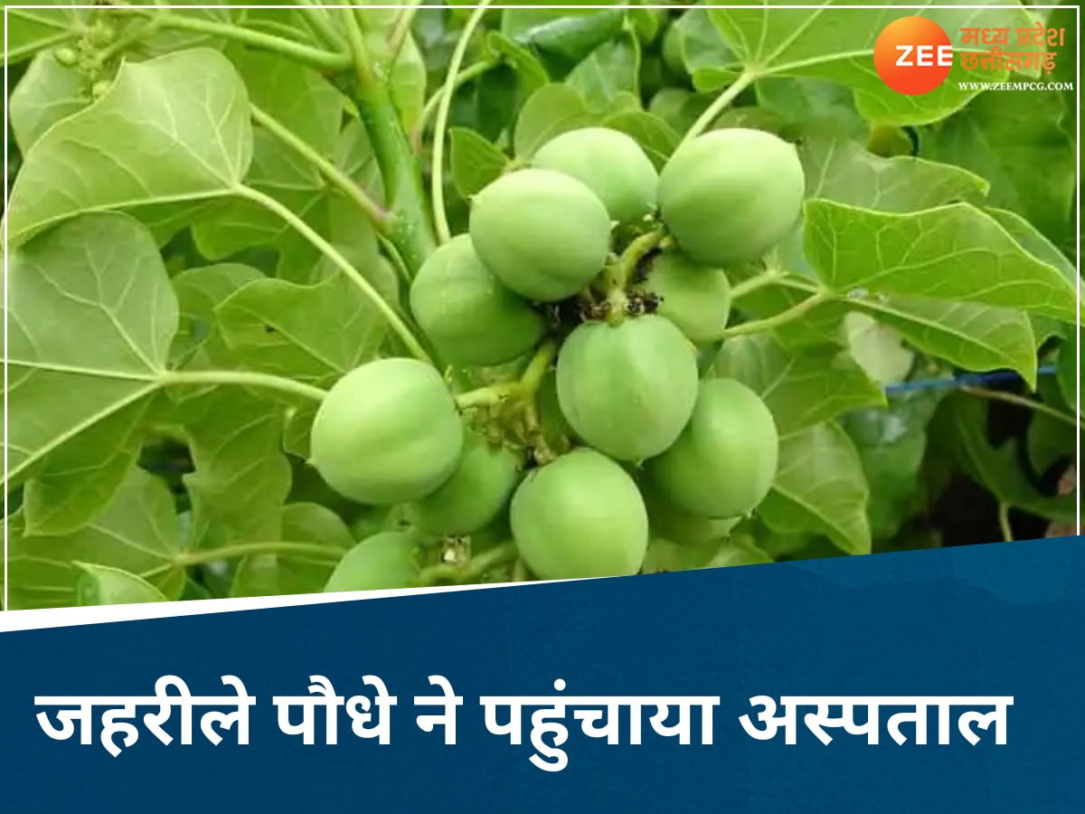 खेल-खेल में बच्चे खा गए जहरीले बीज, आफत में आ गई जान, अस्पताल में 9 बच्चे