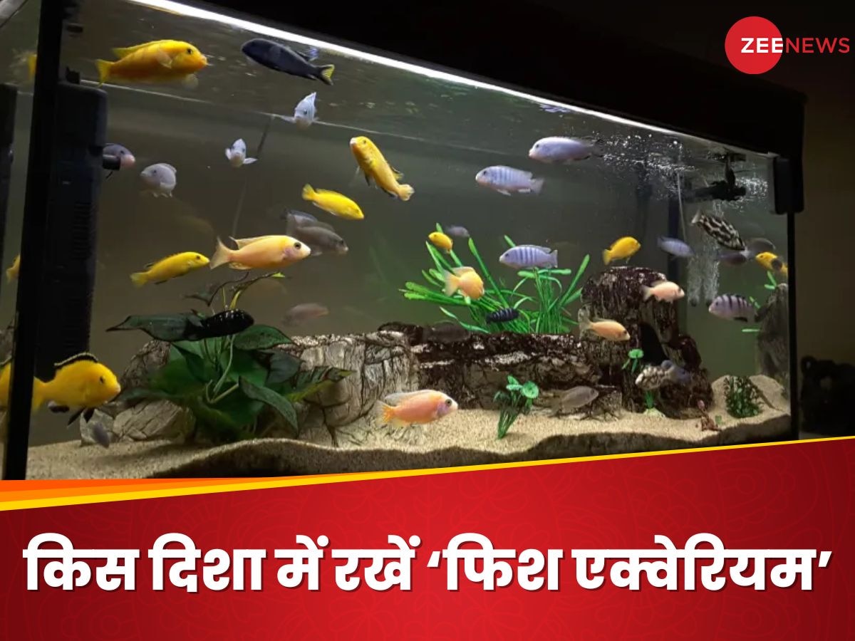 Aquarium: बेहद शुभ है घर की इस दिशा में फिश एक्वेरियम रखना, धन-दौलत में होगी खूब वृद्धि