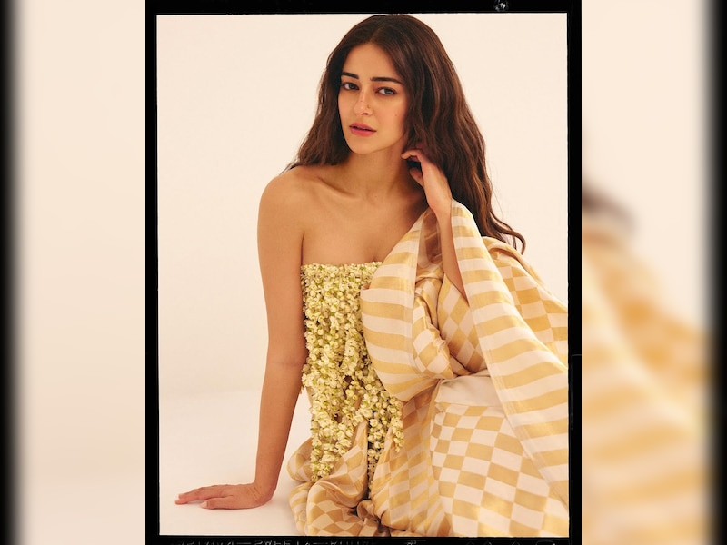 अनन्या वर्क फ्रंट