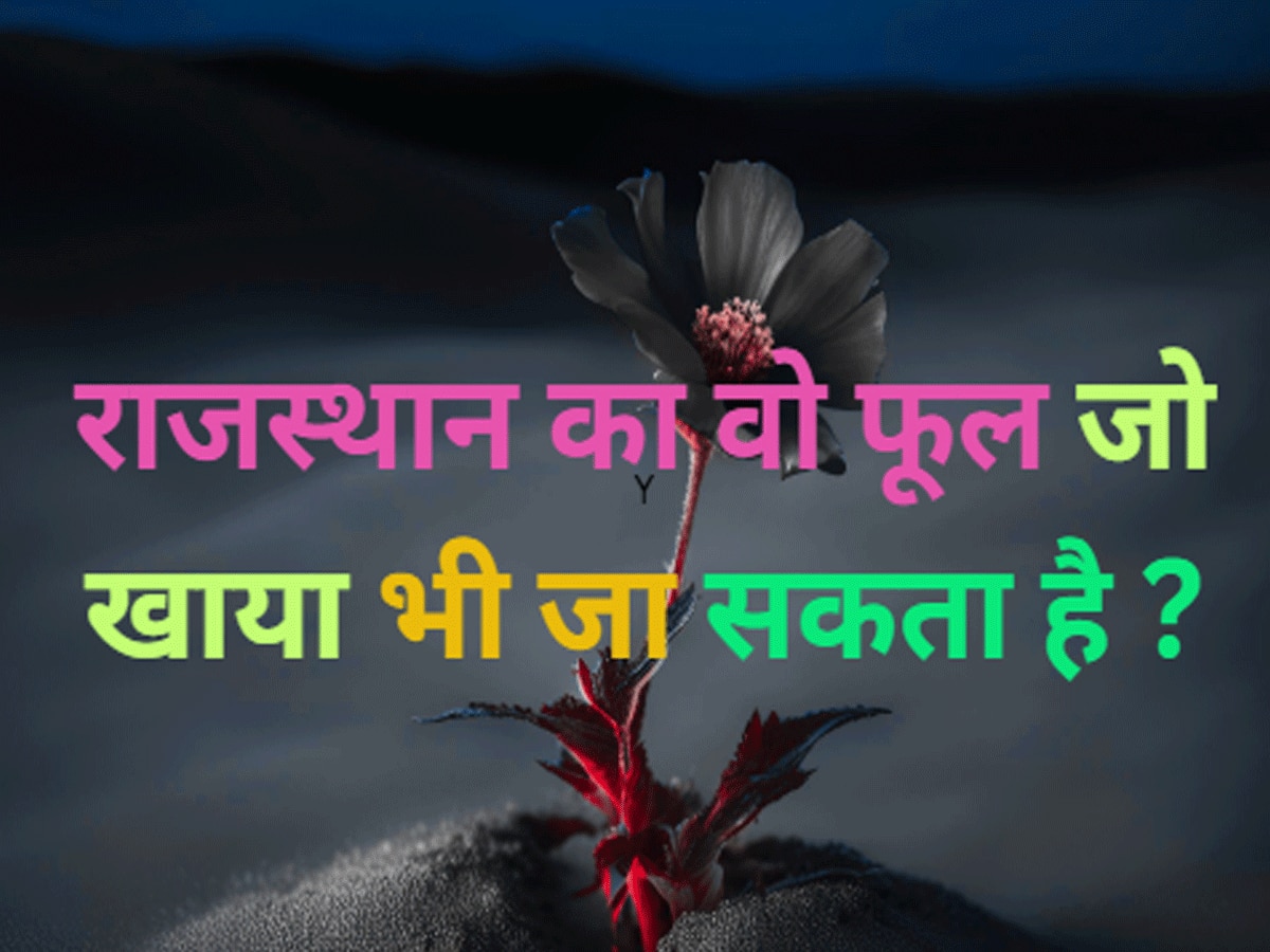 Trending Quiz : राजस्थान का वो फूल जो खाया भी जा सकता है ?