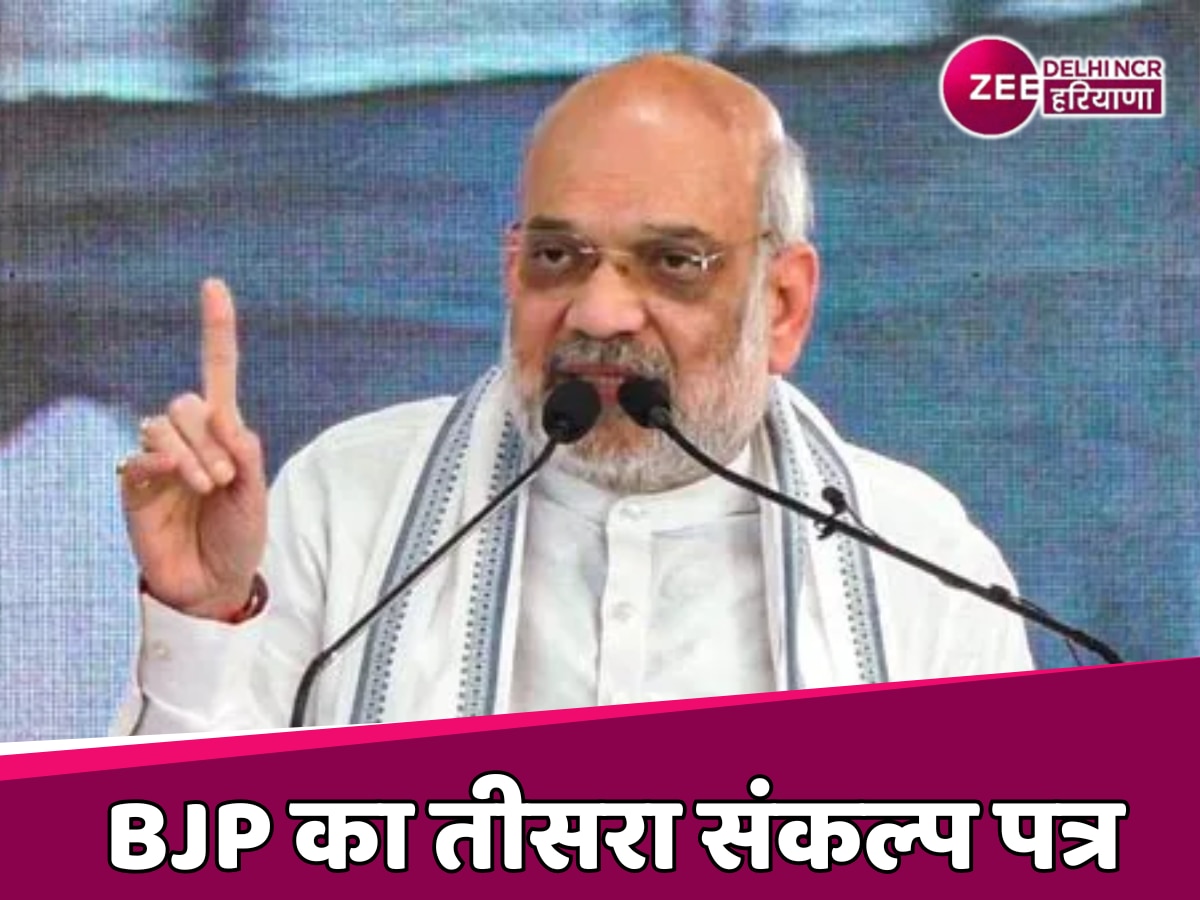 Delhi BJP Third Manifesto: बीजेपी का तीसरा घोषणा पत्र जारी, 10 लाख का बीमा समेत मिलेगी ये सुविधाएं