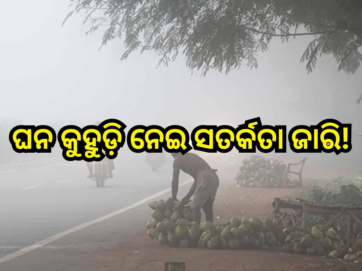 Weather Update: ଆହୁରି ଦୁଇ ଦିନ ଅସ୍ତବ୍ୟସ୍ତ କରିବ ଘନ କୁହୁଡ଼ି , ଏହିସବୁ ଜିଲ୍ଲାକୁ ଆଲର୍ଟ ଜାରି