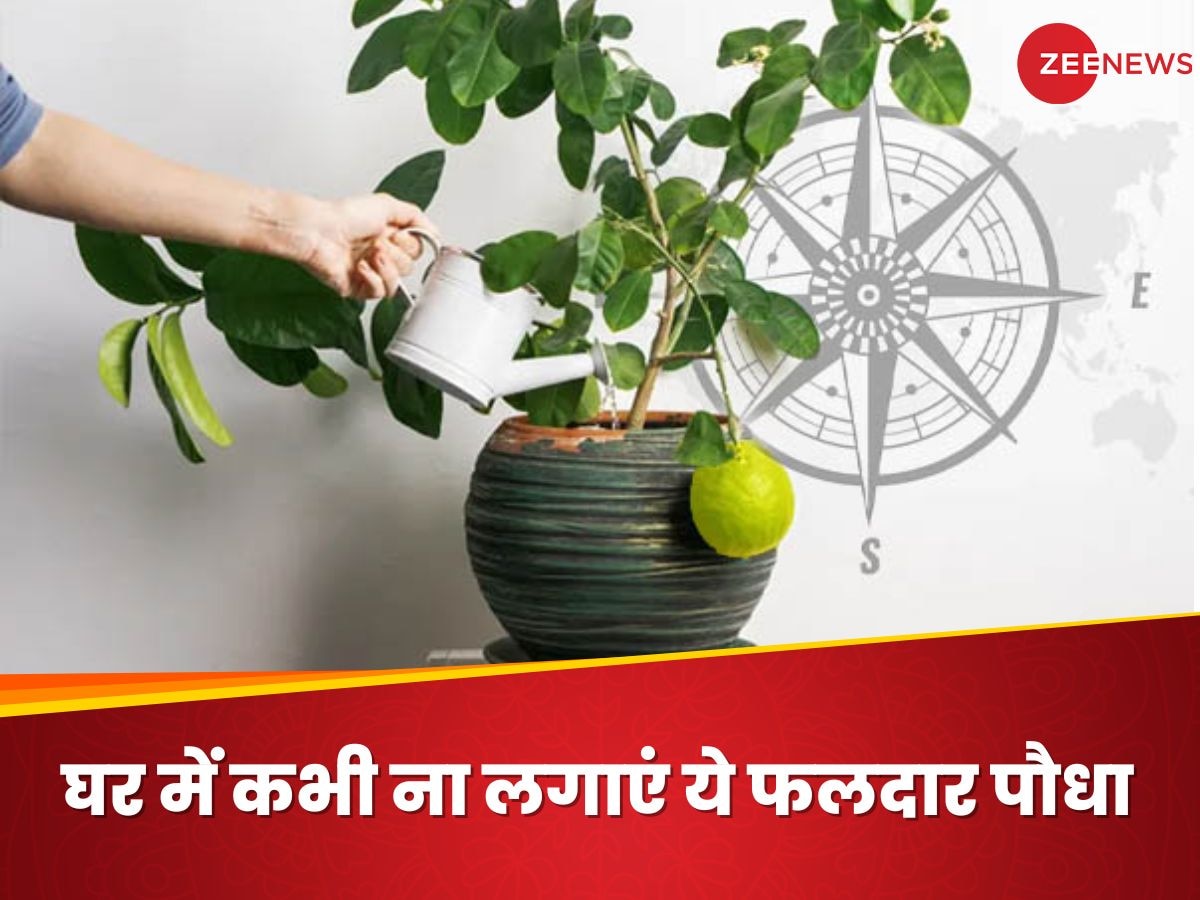 Vastu Shastra: घर में भूल से भी ना लगाएं ये फलदार पौधा, धन की देवी हो जाएंगी नाराज; रुक जाएगी बरकत