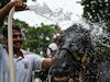 अश्व: सूर्यपुत्र का प्रतीक