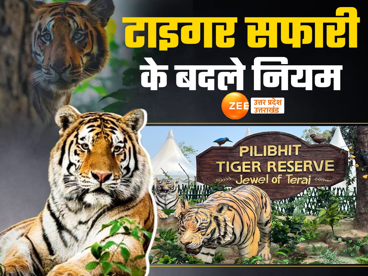 Pilibhit Tiger Reserve News