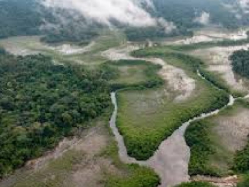What is the Congo forest famous for | What is the 2nd largest ...