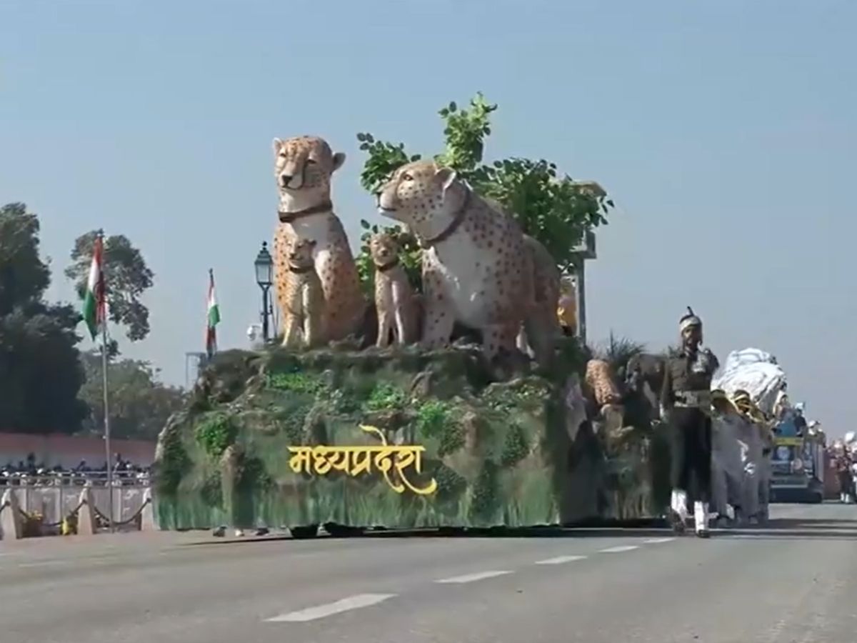 मध्य प्रदेश की झांकी