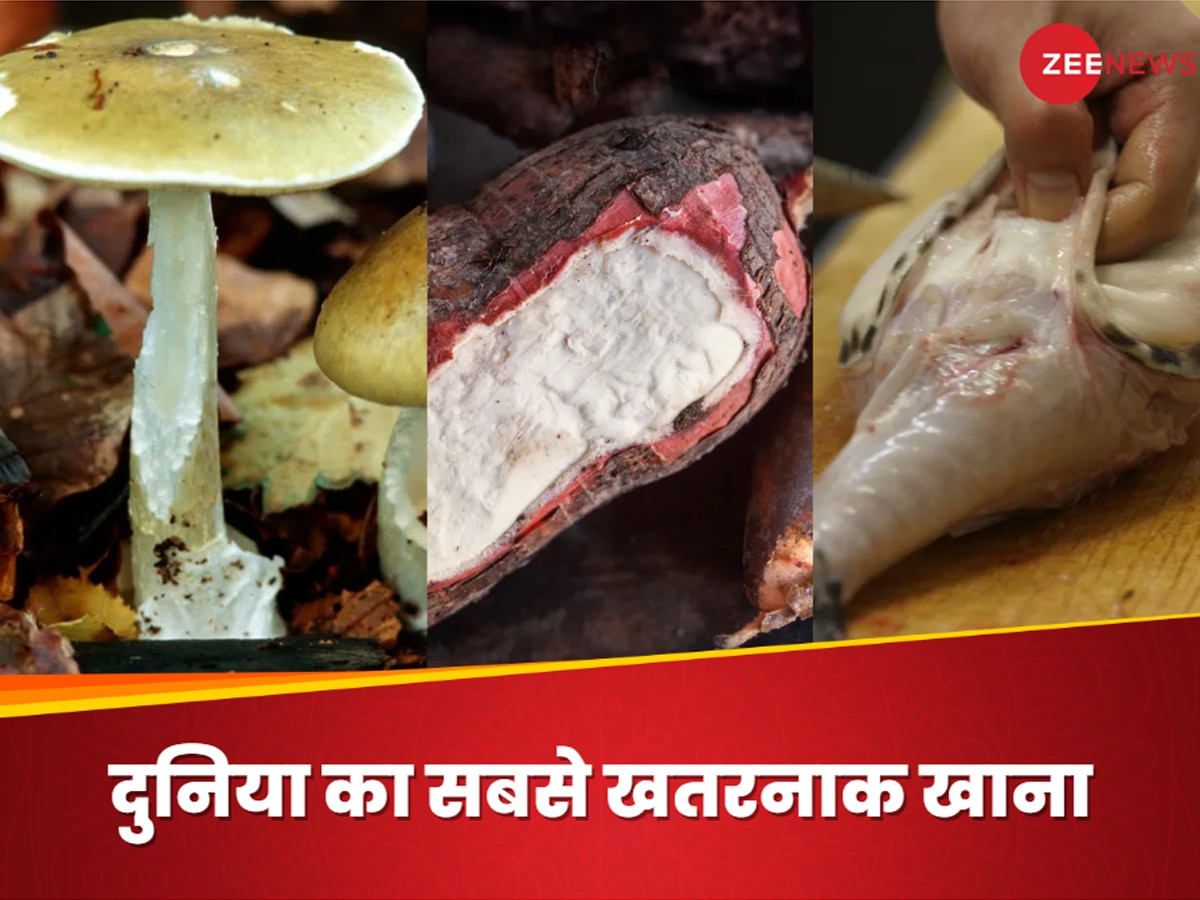 Toxic Foods: दुनिया का सबसे घातक खाना कौन सा है... कहीं आपके किचन में भी तो नहीं पक रहा ये जहर?