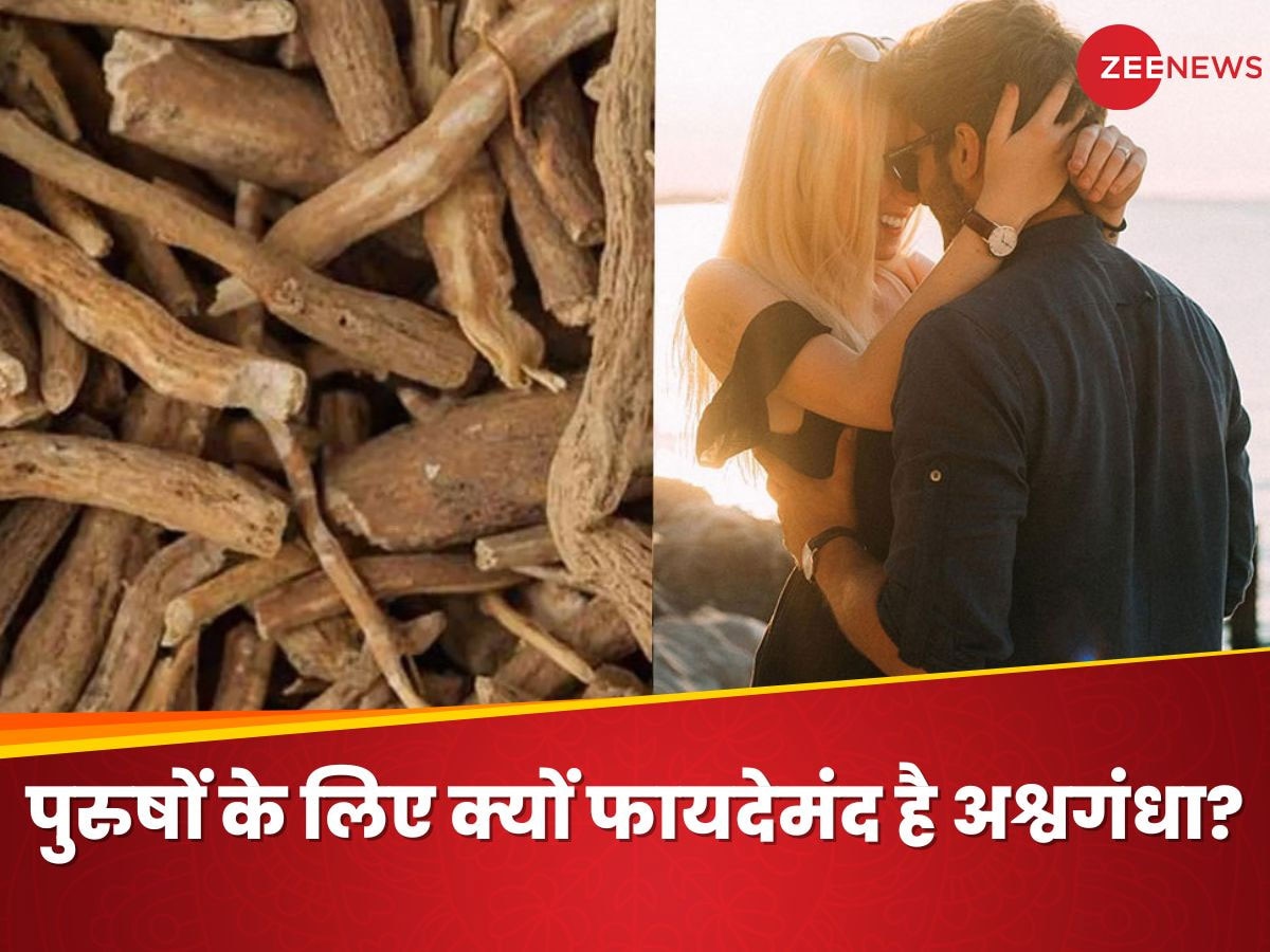 Ashwagandha For Male Fertility: अश्वगंधा से बढ़ती है मर्दों की 'ताकत', इन परेशानियों में बनता है आपका 'सच्चा दोस्त'