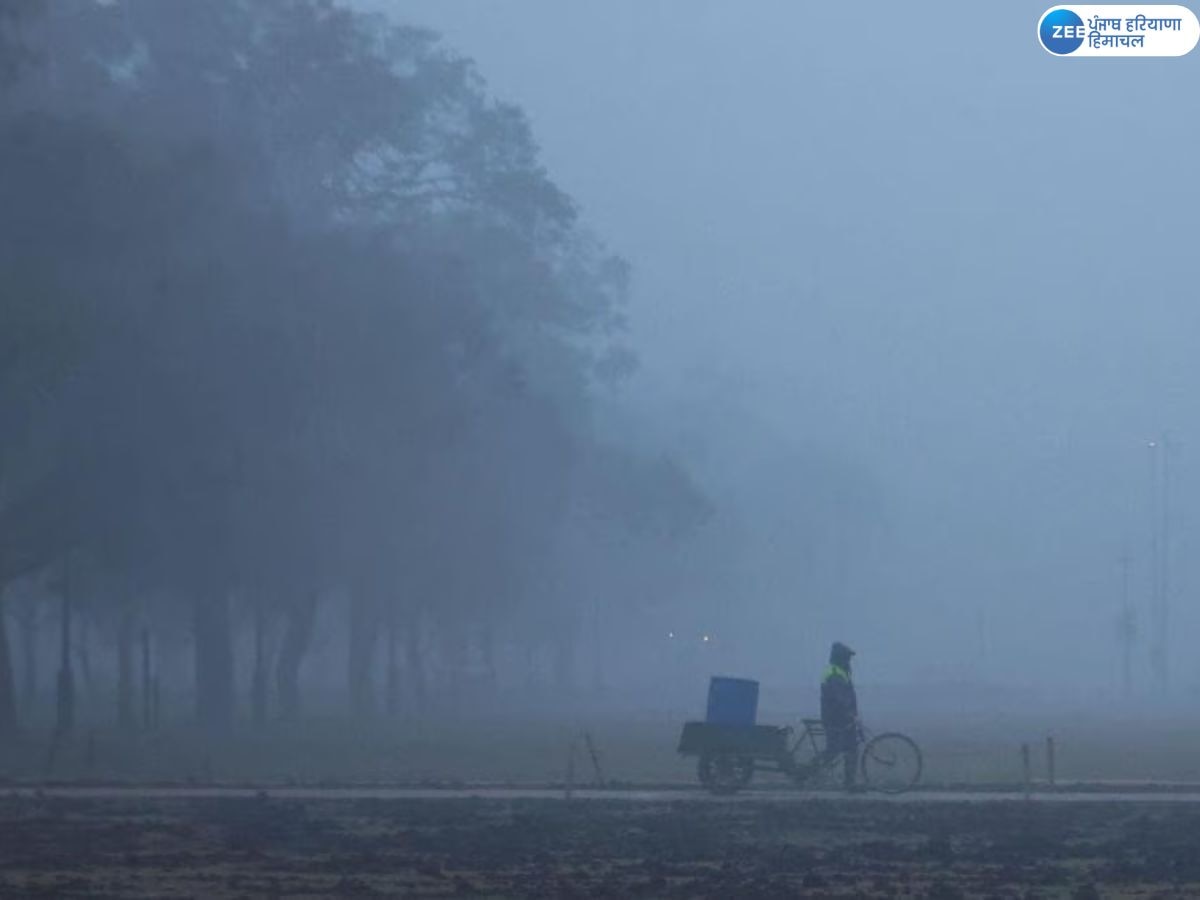 Punjab Weather Updates: ਪੰਜਾਬ ਵਿੱਚ ਸੀਤ ਲਹਿਰ ਲਈ ਅਲਰਟ ਜਾਰੀ; ਜਾਣੋ ਕਦੋਂ ਪਵੇਗਾ ਮੀਂਹ