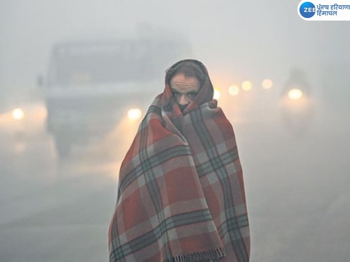 Himachal Pradesh Weather Update: सर्दियों में ही सूखे जैसे हालात लगे पनपने, 4 जिलों में शीतलहर का अलर्ट; टूरिज्म इंडस्ट्री पर बुरा असर 