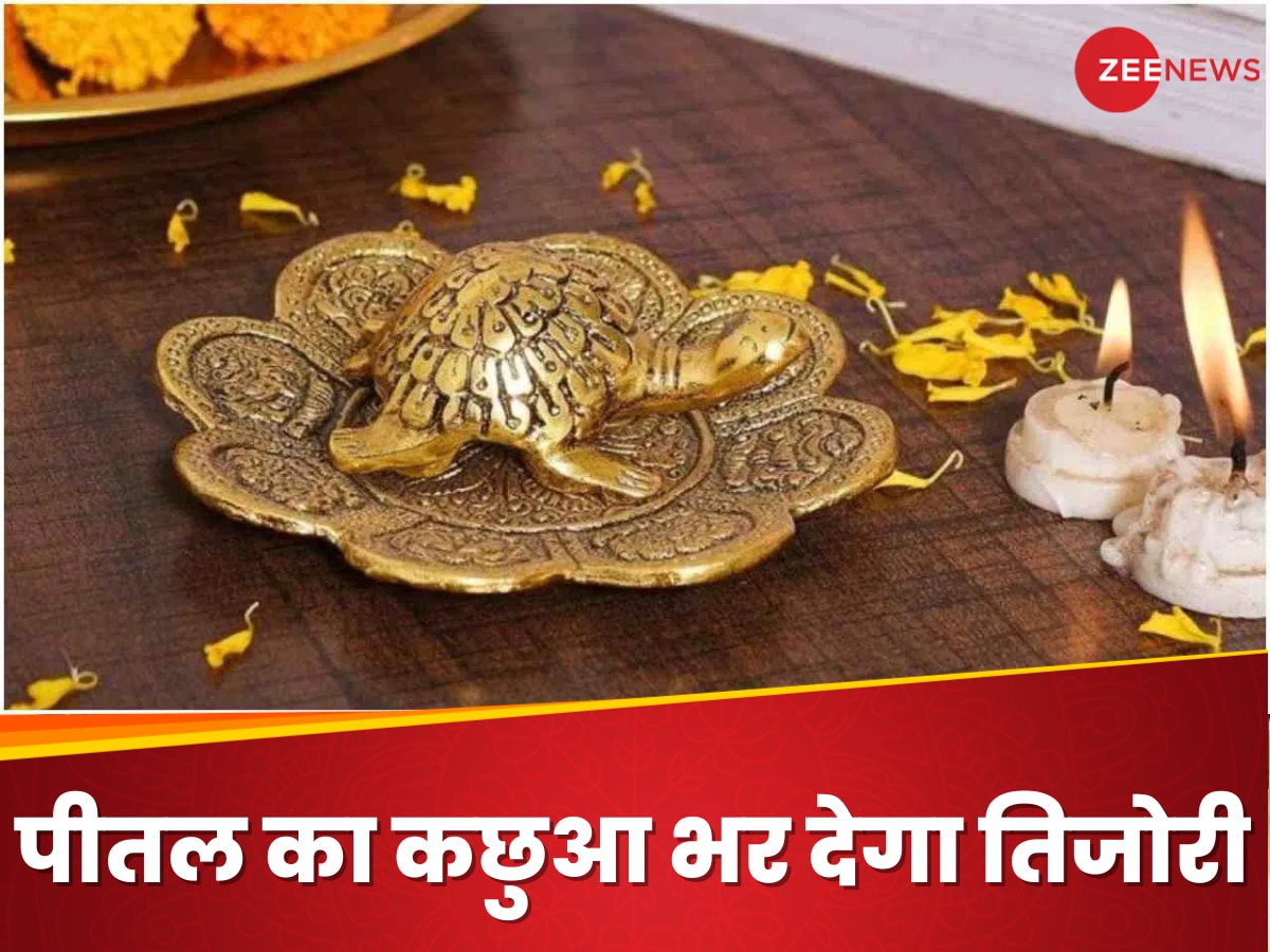 brass tortoise Vastu Tips