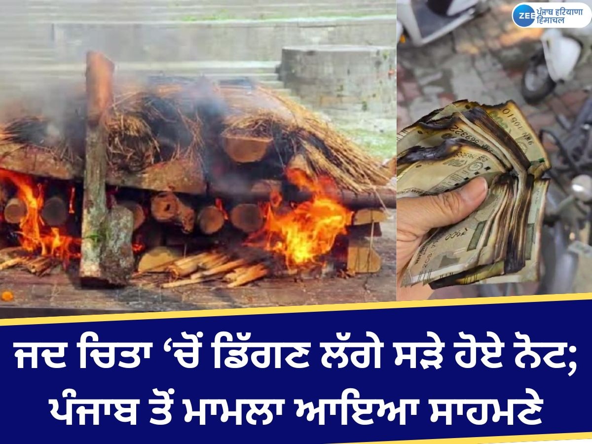 Dinanagar News: ਜਦੋਂ ਬਜ਼ੁਰਗ ਦੀ ਚਿਤਾ ਵਿਚੋਂ ਡਿੱਗਣ ਲੱਗੇ ਸੜਦੇ ਹੋਏ ਨੋਟ; ਸਾਰੇ ਰਹਿ ਗਏ ਹੈਰਾਨ