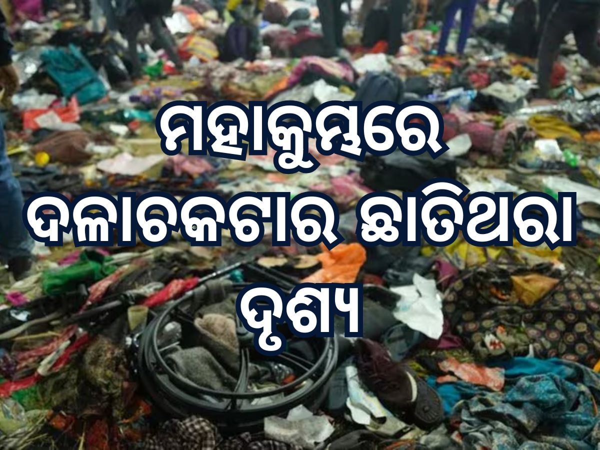 Mahakumbh Stampede News:ଦଳାଚକଟାକୁ ନେଇ ସାଂଘାତିକ ଖୁଲାସା, ସୁରକ୍ଷା ଅଧିକାରୀ କହିଲେ ଛାତିଥରା କାହାଣୀ