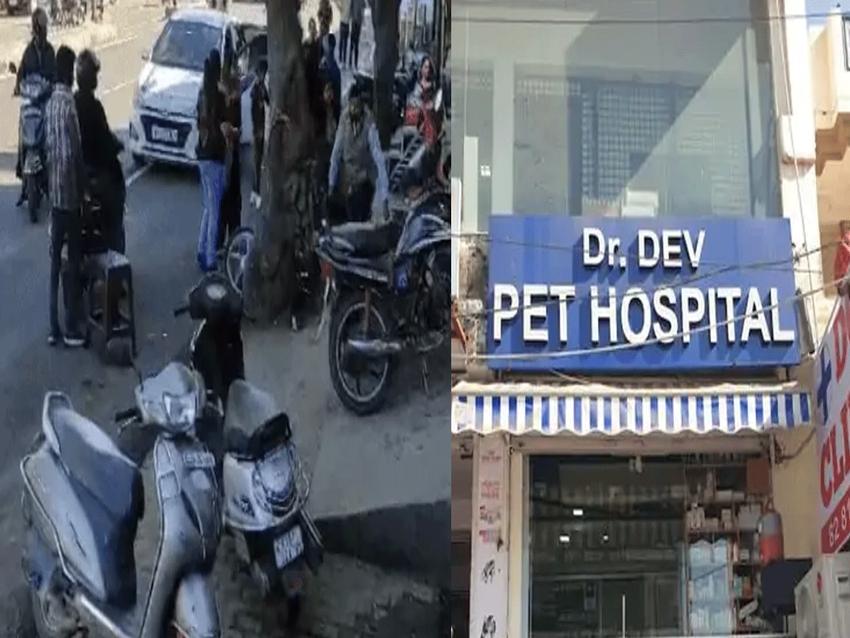 Rajasthan News Doctor attacked in Ajmer people were angry over dog death viral video