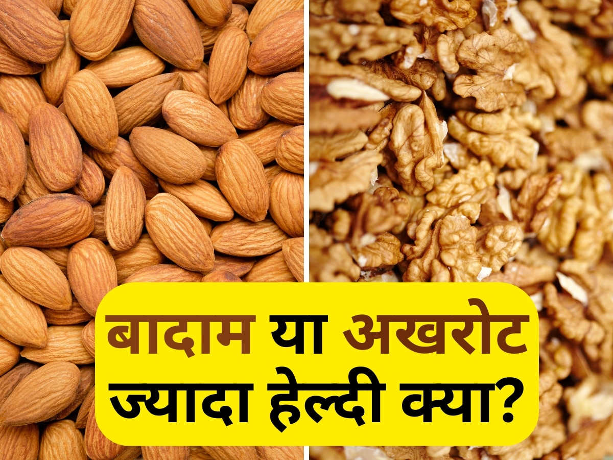 Healthy Dry Fruit: बादाम या अखरोट, आपकी सेहत के लिए ज्यादा हेल्दी क्या? एक्सपर्ट से जानें