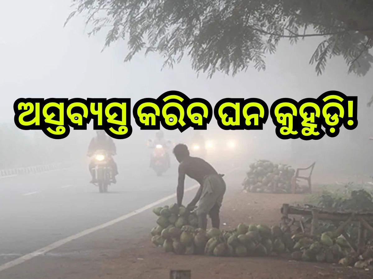 Weather Update: ଆସୁଛି ଖରା, ଘନ କୁହୁଡି଼ ନେଇ ଏହିସବୁ ଜିଲ୍ଲାକୁ ୟେଲୋ ଆଲର୍ଟ ଜାରି 