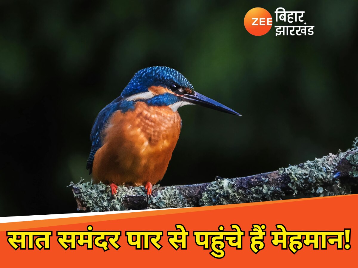 Bird Sanctuary in Bihar