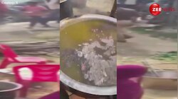 महाकुंभ में श्रद्धालुओं के खाने में मिट्टी डालने वाला पुलिस ऑफिसर सस्पेंड, देखें हैरान कर देने वाला वीडियो