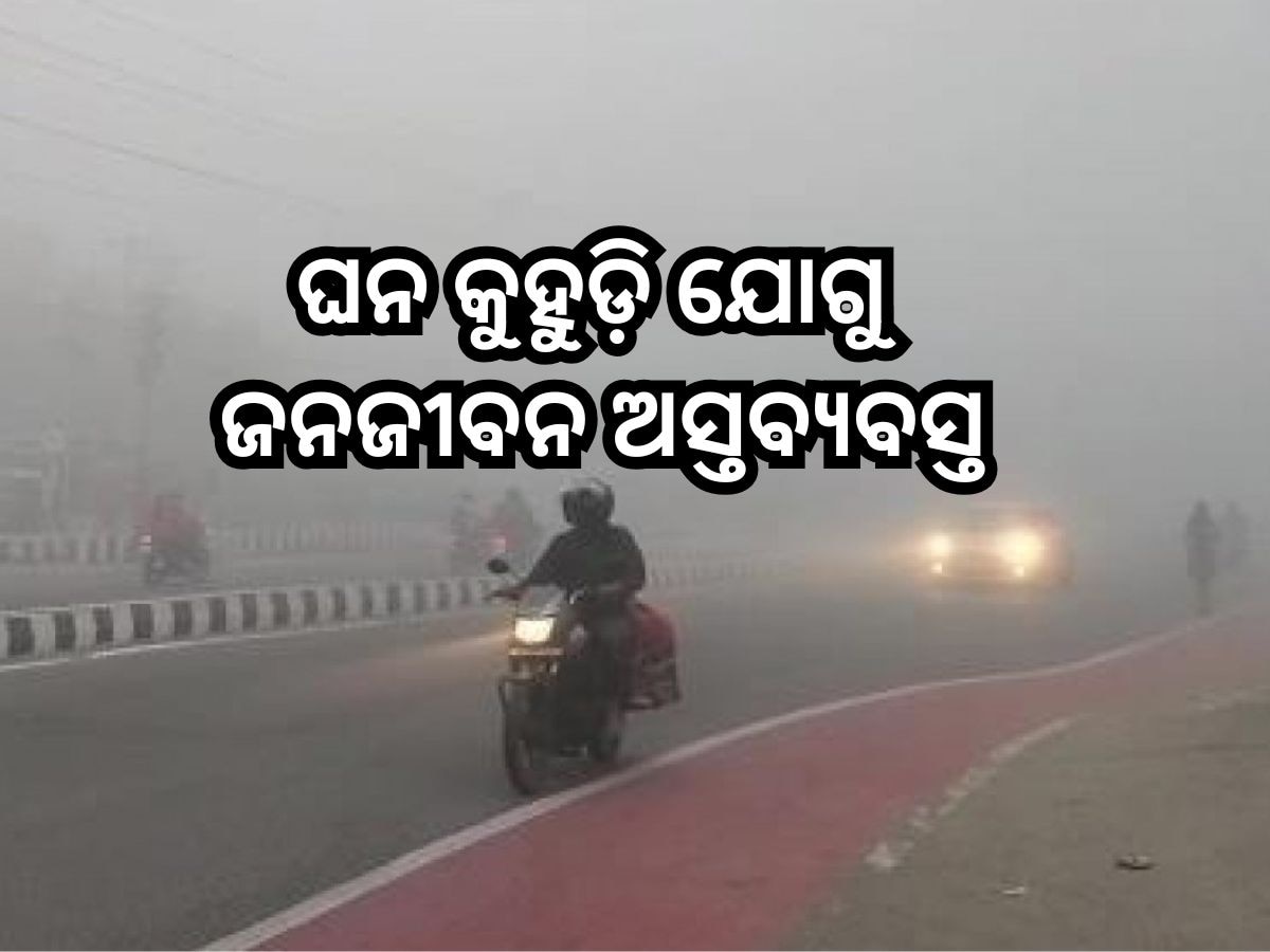 Weather Update: ଘନ କୁହୁଡି଼ ନେଇ ଏହିସବୁ ଜିଲ୍ଲାକୁ ୟେଲୋ ଆଲର୍ଟ ଜାରି