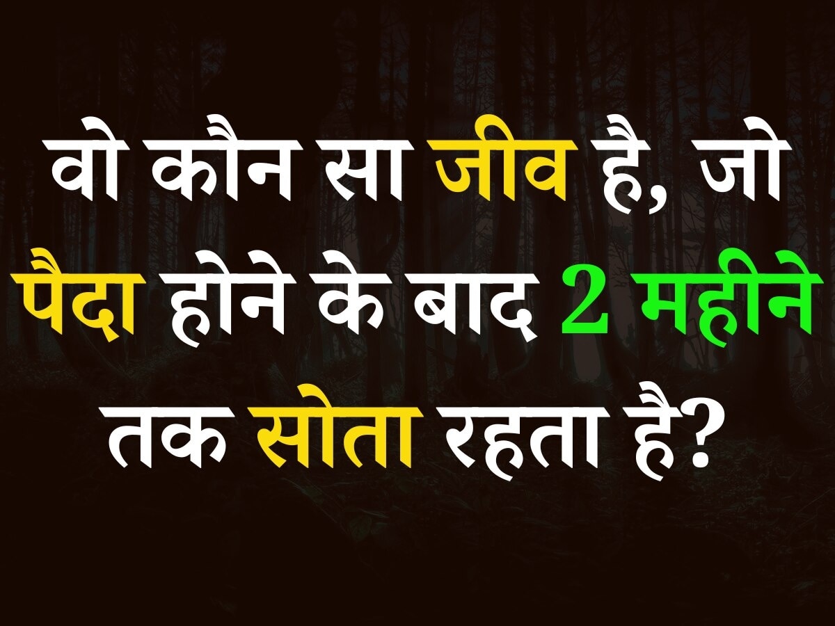 GK Quiz: कौन सा जीव है जो पैदा होने के 2 महीने बाद तक सोता रहता है?