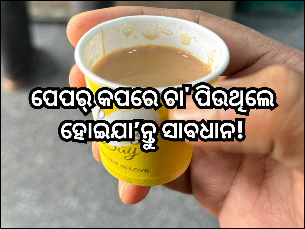 The Shocking Truth About Drinking Tea in a Paper Cup