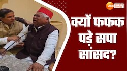 फूट-फूटकर रोने लगे सपा सांसद, अवधेश प्रसाद ने बताया क्यों देंगे इस्तीफा?