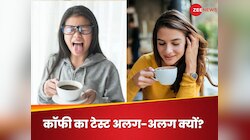 आपको कड़वी, लेकिन दोस्त को सूदिंग क्यों लगती है कॉफी? नहीं पता तो अब जान जाइए