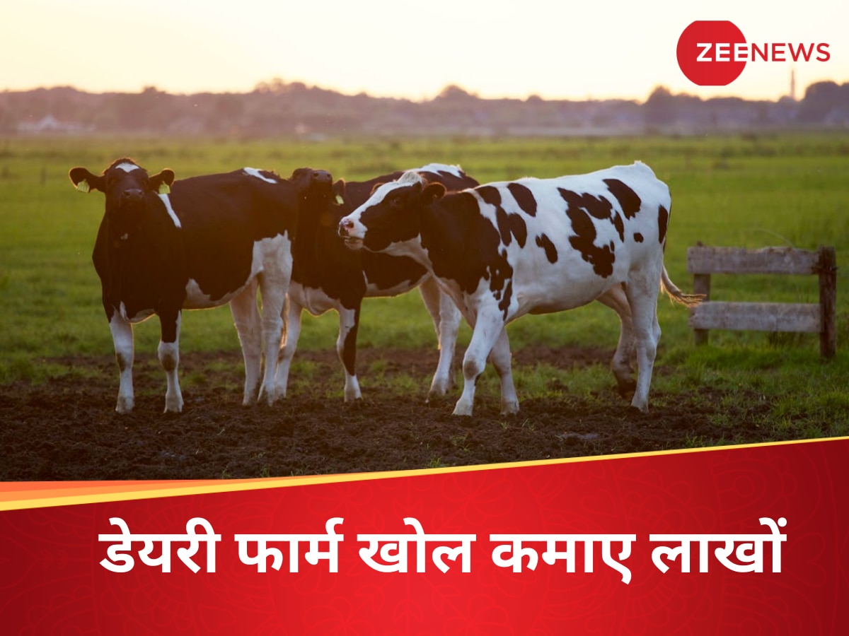 12 हजार की नौकरी छोड़ी, खोला बिजनेस; बन गया लखपति...कहानी अरुणाचल के आलो के दूधवाले की
