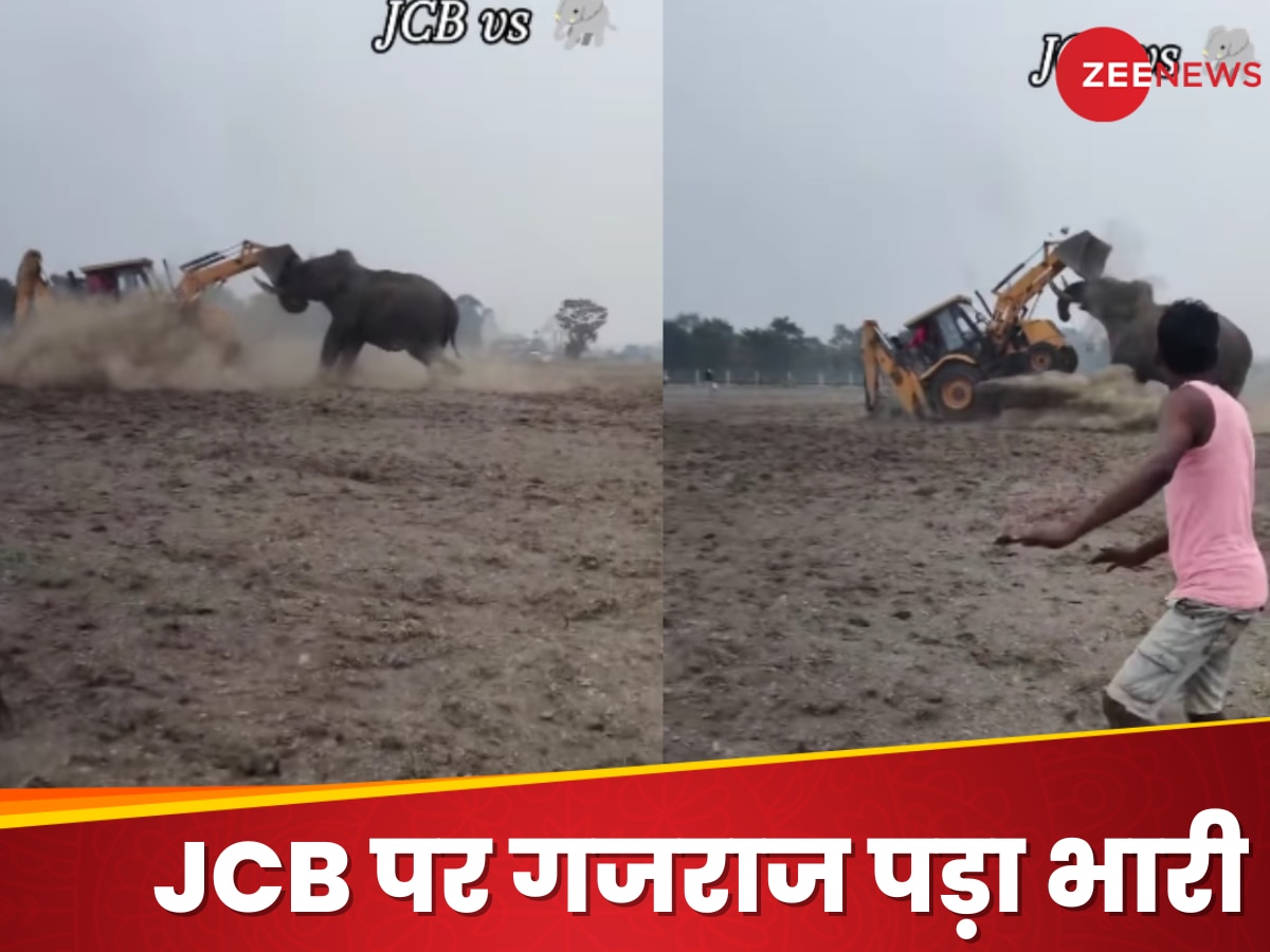 Watch: गजराज का गुस्सा पड़ा भारी, JCB मशीन को हिला डाला, वीडियो देख भौचक्के रह गए लोग!