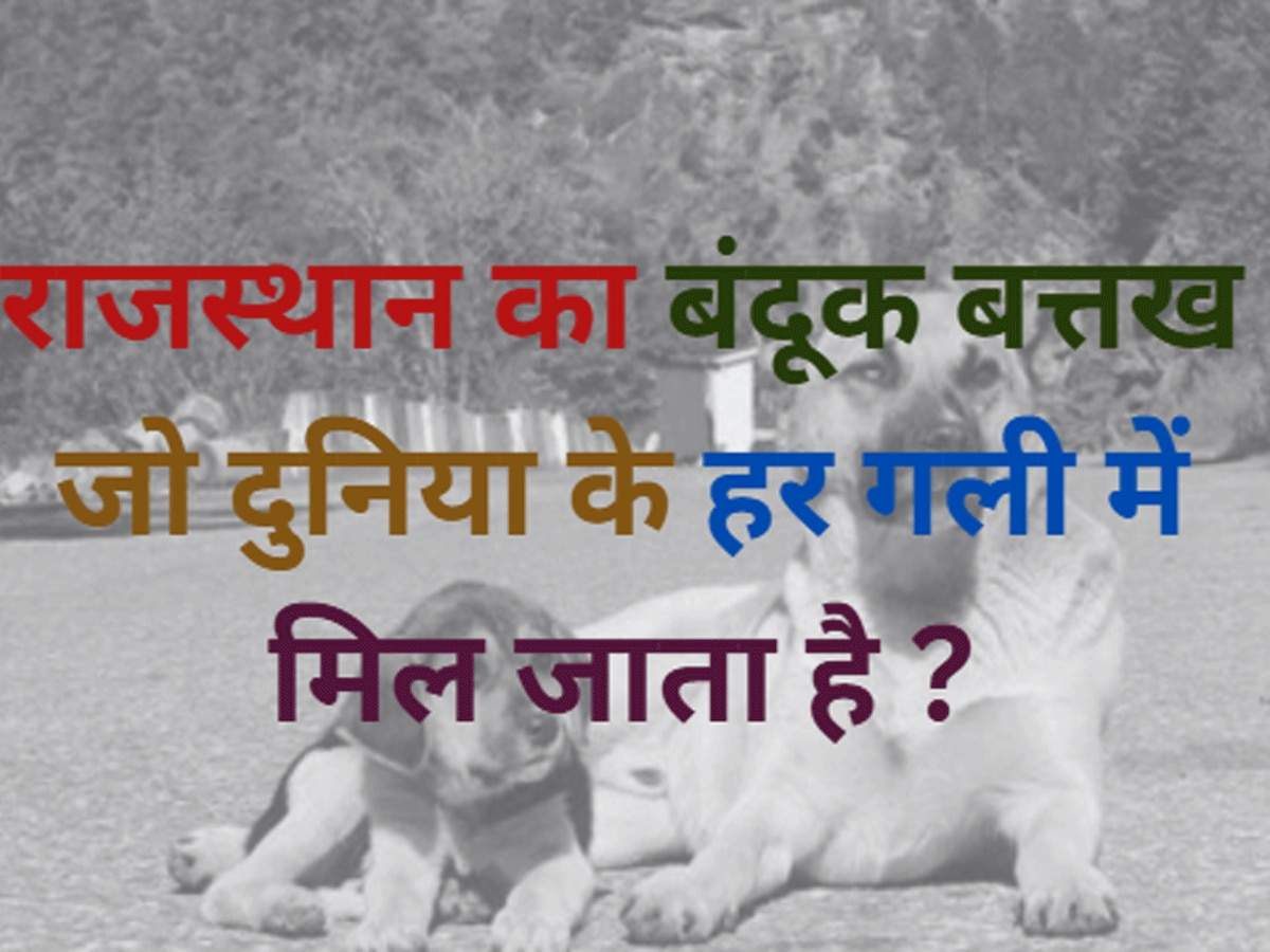 Trending Quiz Rajasthan GK Question what is dog called in rajasthan