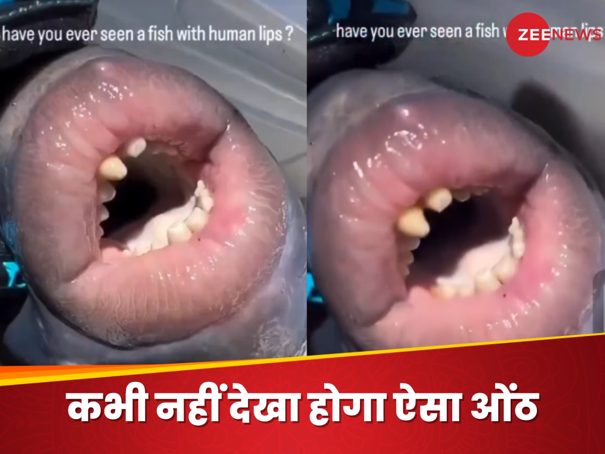  Viral Video: ये किस दैत्य के होंठ हैं? सोशल मीडिया पर मची हलचल, वीडियो देख हैरान हो गए लोग!