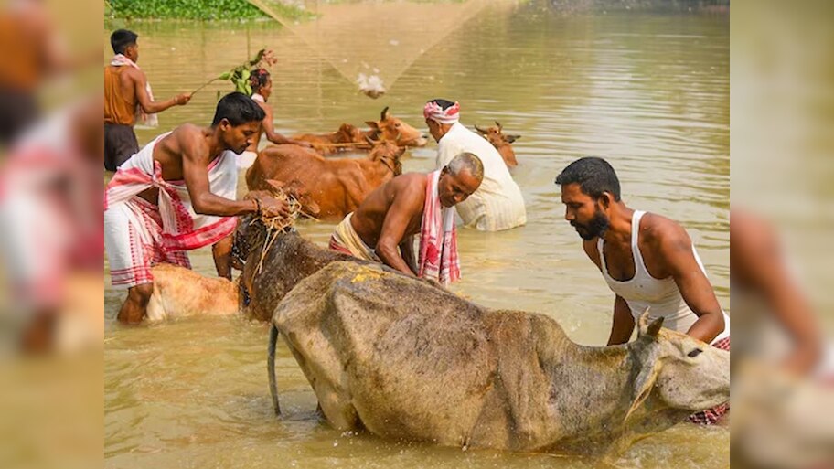 इस राज्य के मंत्री के बिगड़े बोल; बोले- गो तस्करों को देखते ही गोली मारने का दूंगा आदेश