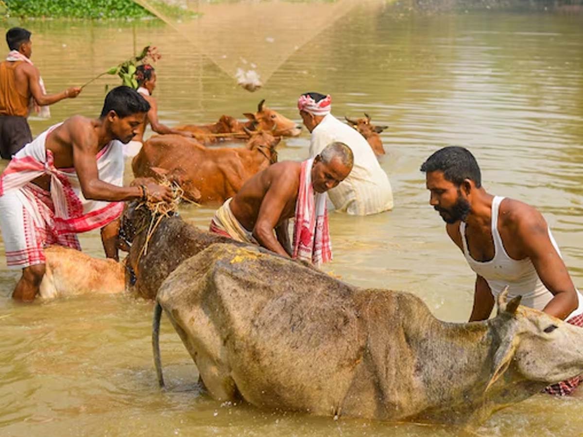इस राज्य के मंत्री के बिगड़े बोल; बोले- गो तस्करों को देखते ही गोली मारने का दूंगा आदेश इस राज्य के मंत्री के बिगड़े बोल; बोले- गो तस्करों को देखते ही गोली मारने का दूंगा आदेश