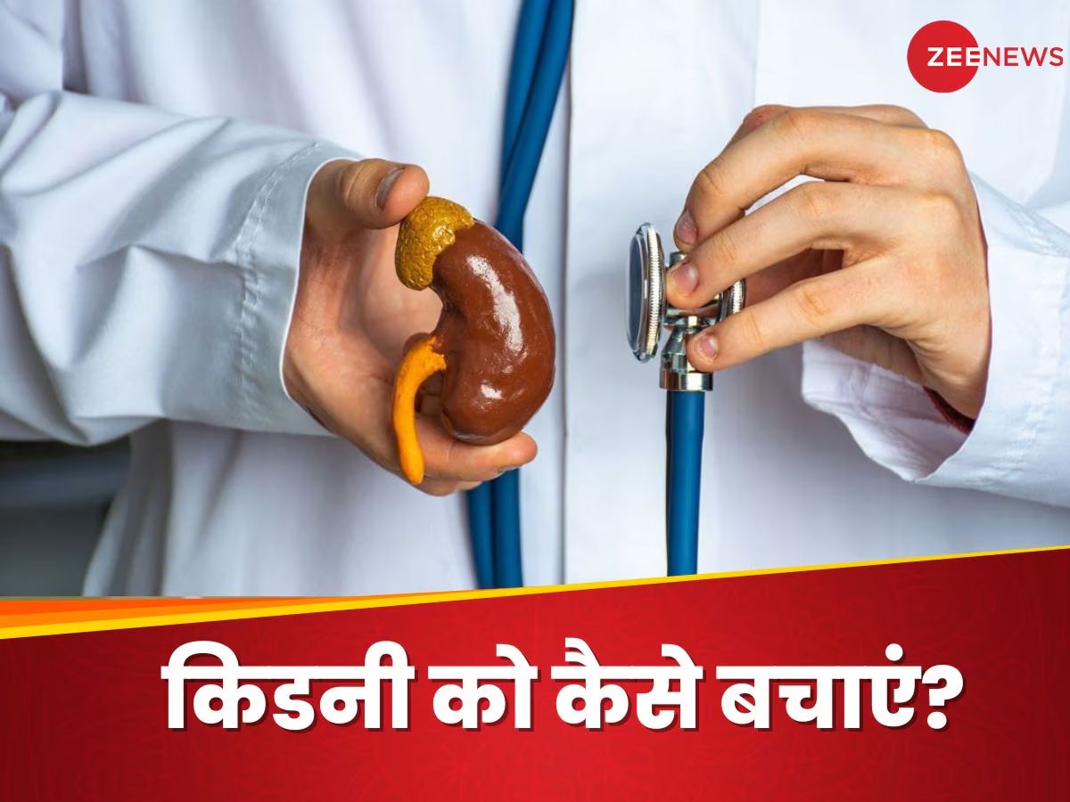 Kidney: चंगी-भली किडनी को फेल कर सकती हैं ये 4 आदतें, आज से ही कर लें तौबा