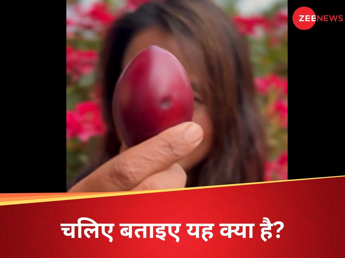 Tree Tomato: यह क्या छोटा वाला बैंगन है? हम बताएंगे तो आप चौंक जाएंगे